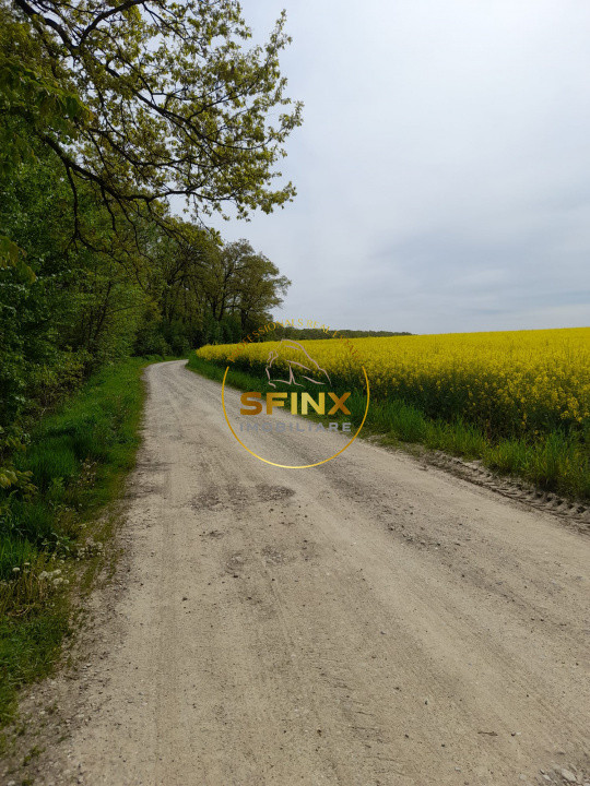 Teren cu PUZ Caldarusani lac/padure 11700 mp 