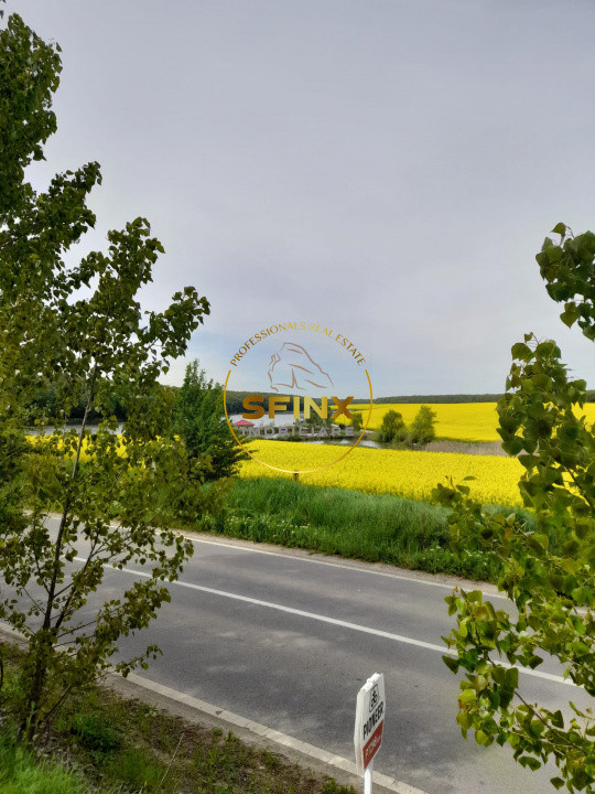 Teren cu PUZ Caldarusani lac/padure 11700 mp 