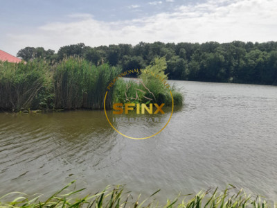 Teren cu PUZ Caldarusani lac/padure 11700 mp 