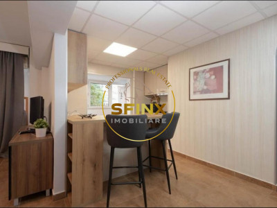 Apartament 2 camere || Kiseleff-Victoriei || etaj 1 || 54mp