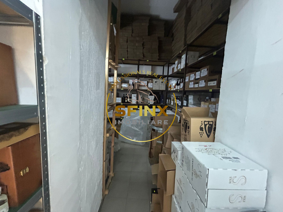 Sp comercial | Ion Mihalache | Parter | 115mp | Disponibil de la 15 iunie