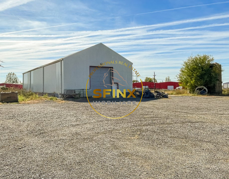 Hala depozit | 1309 mp | Birou 261mp | Bragadiru | Centura A0 | Acces TIR