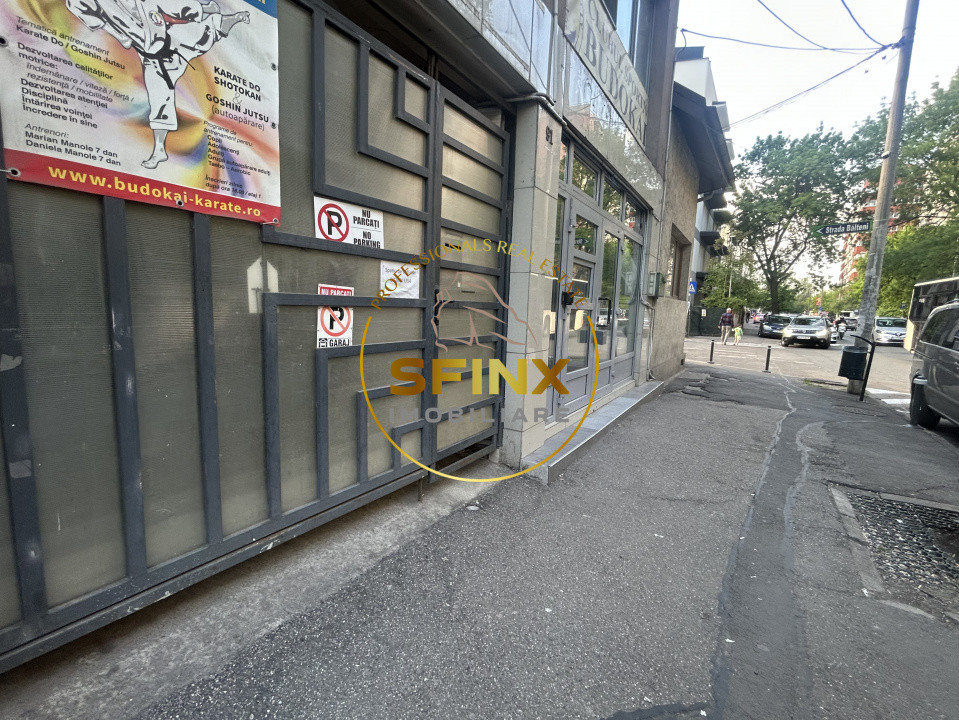 Sp comercial | Teiul Doamnei | 51mp | Disponibil Imediat