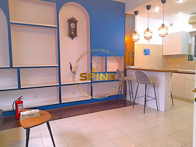 Apartament in vila | 190mp | 7 cam | Gara N - Berzei - Știrbei Vodă - Cișmigiu
