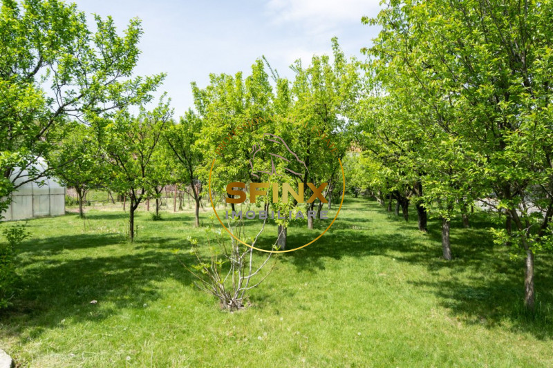 De vanzare - Teren 1600mp in Mogosoaia