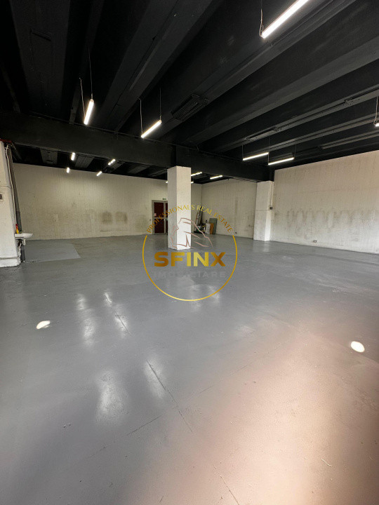 Spatiu comercial | Depozitare | Productie | Theodor Pallady