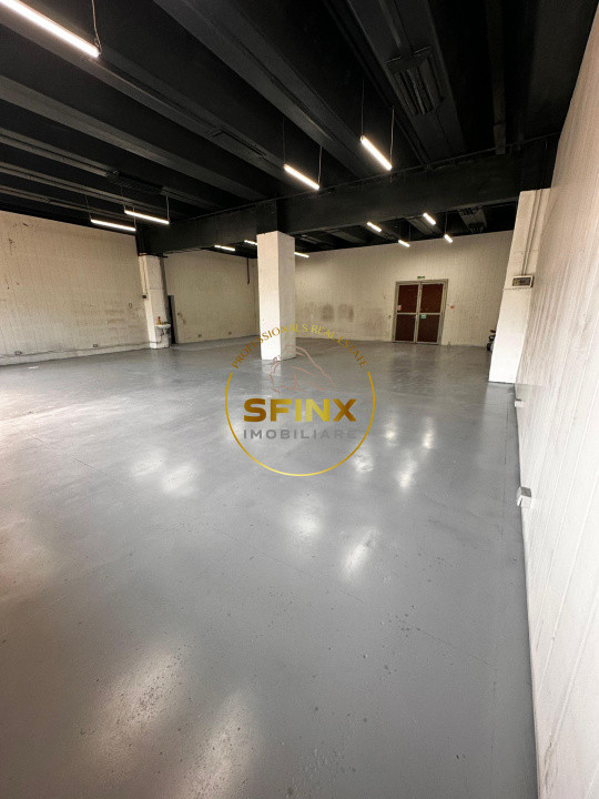 Spatiu comercial | Depozitare | Productie | Theodor Pallady
