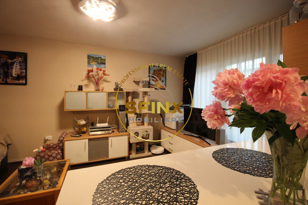 Apartament cochet, frumos amenajat la standarde actuale, zona Teiul Doamnei