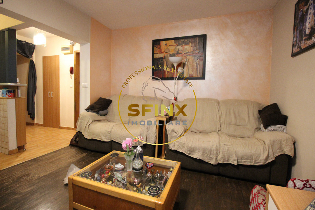 Apartament cochet, frumos amenajat la standarde actuale, zona Teiul Doamnei