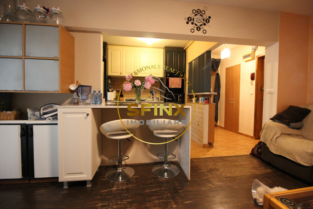 Apartament cochet, frumos amenajat la standarde actuale, zona Teiul Doamnei