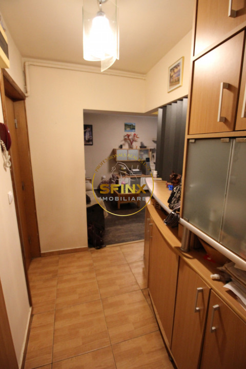 Apartament cochet, frumos amenajat la standarde actuale, zona Teiul Doamnei