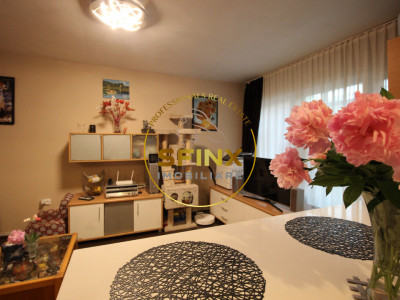 Apartament cochet, frumos amenajat la standarde actuale, zona Teiul Doamnei