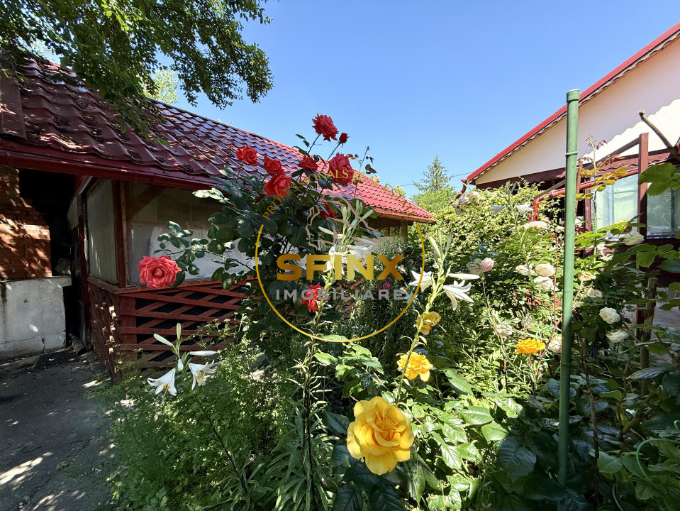 5 Camere Tunari Teleorman | Centrală termică | Grădina cu pomi fructiferi 