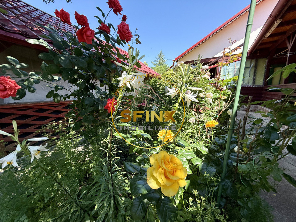 5 Camere Tunari Teleorman | Centrală termică | Grădina cu pomi fructiferi 