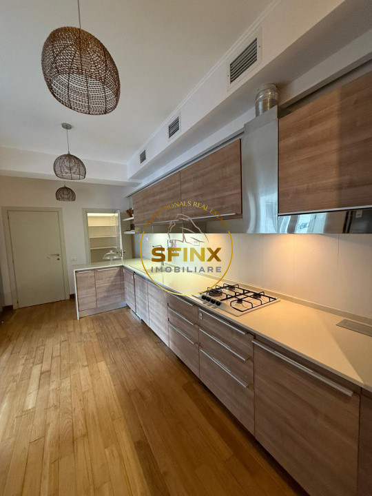 Nordului Herastrau Park, 4 room 222 sqm apartment, large terraces, pet friendly