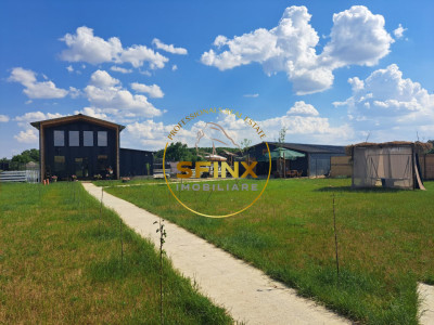 Business operational de vanzare | Ferma ecvestra | Profitabilitate imediata
