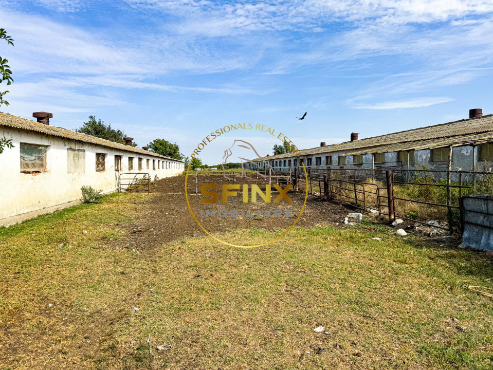 Teren intravilan 62000mp | Ferma | Logistica - depozitare