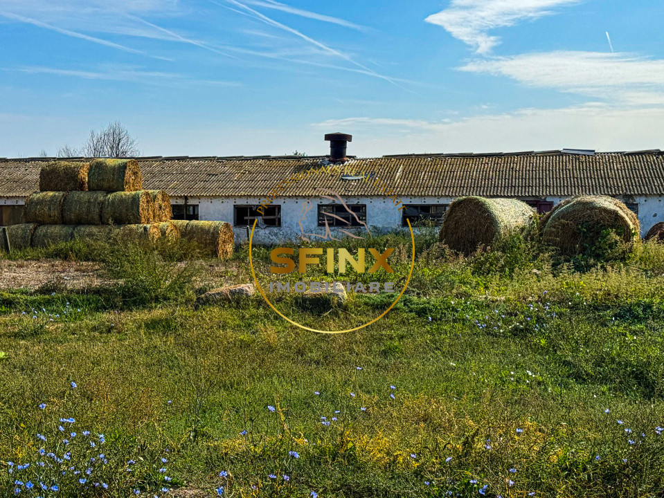 Teren intravilan 62000mp | Ferma | Logistica - depozitare