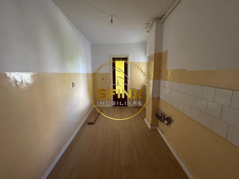 4 camere | Ion Mihalache | 98mp | Garaj