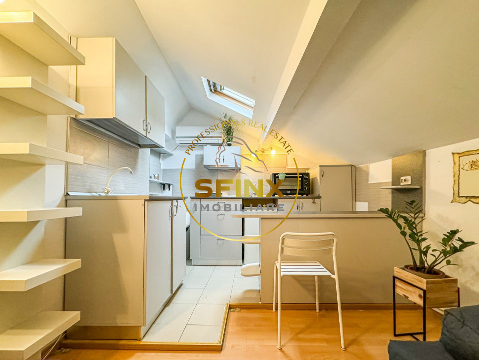 Chirie 3 camere Cismigiu