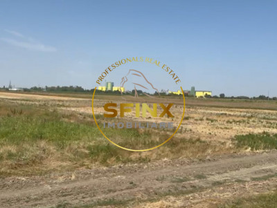 De vanzare - teren intravilan I 90.000mp  I FS: 250m I Slobozia
