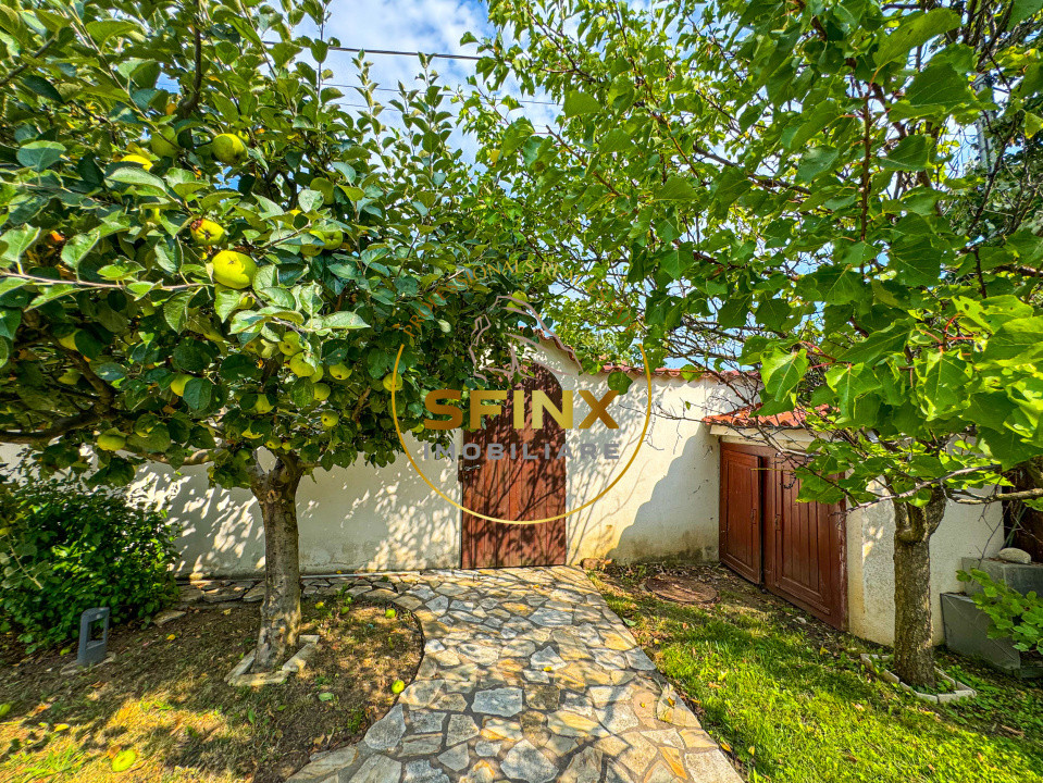 Casa speciala pe malul lacului Scrovistea | Ponton | Padure | Livada 