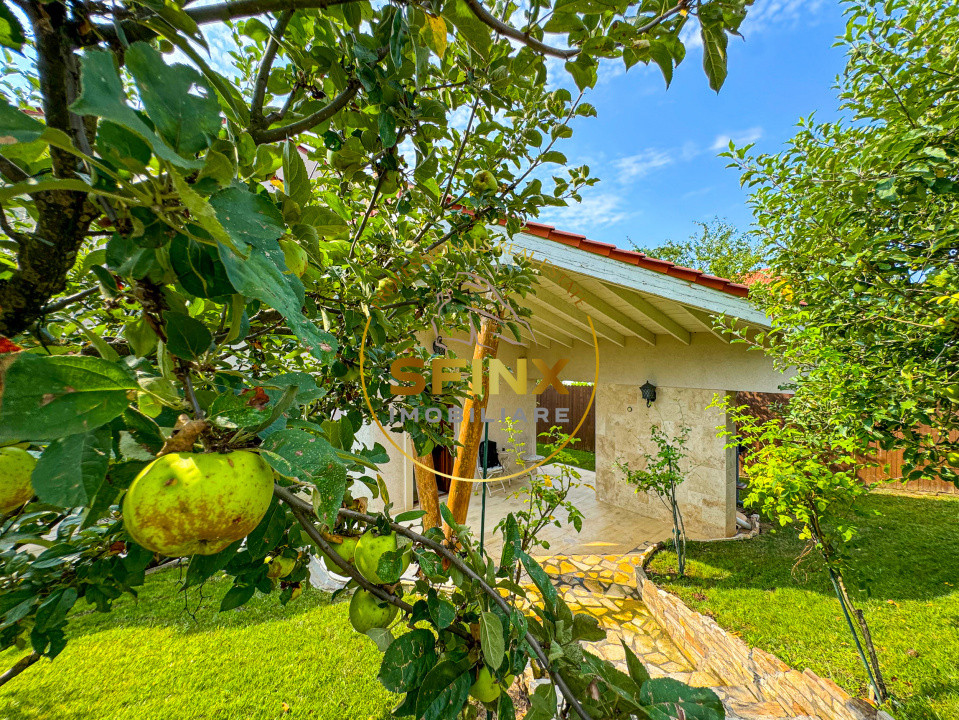 Casa speciala pe malul lacului Scrovistea | Ponton | Padure | Livada 