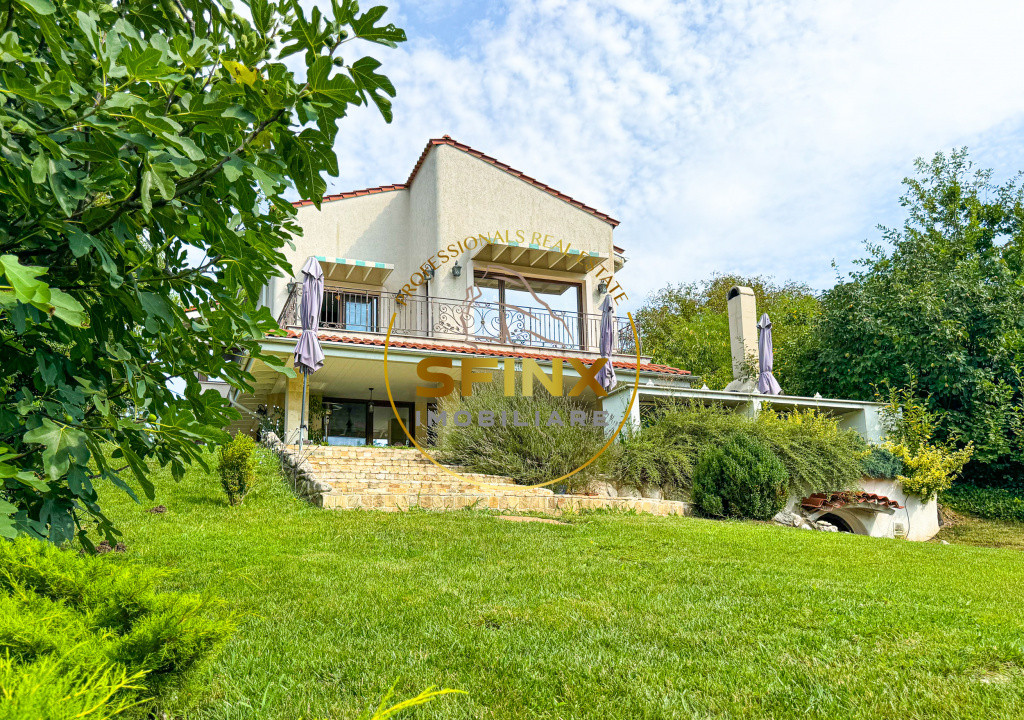 Casa speciala pe malul lacului Scrovistea | Ponton | Padure | Livada 