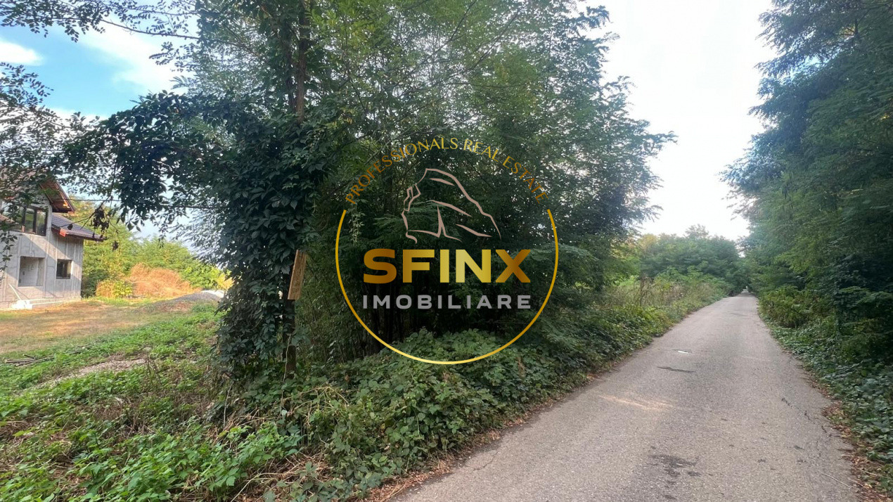 Teren intravilan 2.500 mp | Snagov | Padure I Drum asfaltat