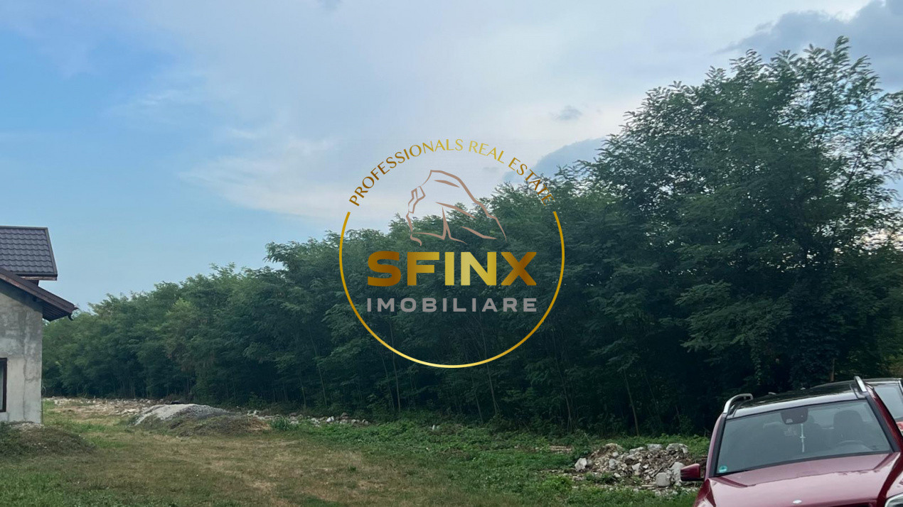 Teren intravilan 2.500 mp | Snagov | Padure I Drum asfaltat