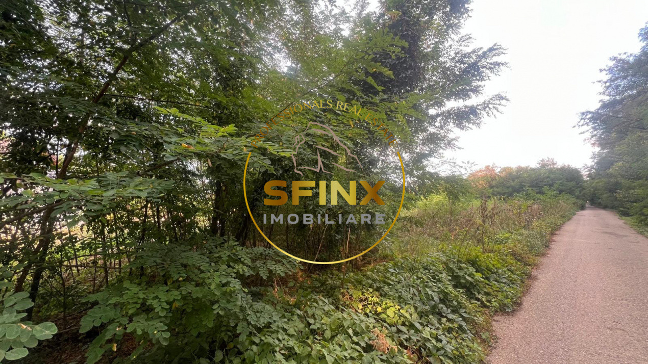 Teren intravilan 2.500 mp | Snagov | Padure I Drum asfaltat
