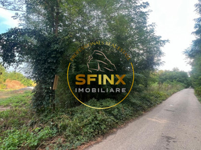 Teren intravilan 2.500 mp | Snagov | Padure I Drum asfaltat