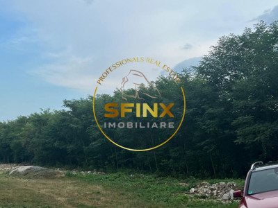 Teren intravilan 1000mp | Snagov | Padure I Drum asfaltat