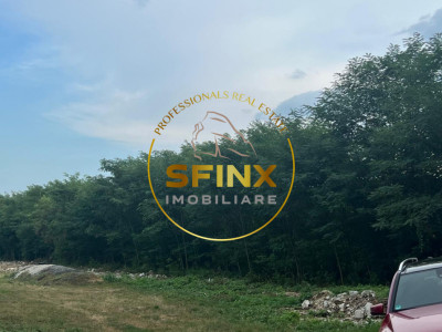 Teren intravilan 1000mp | Snagov | Padure I Drum asfaltat
