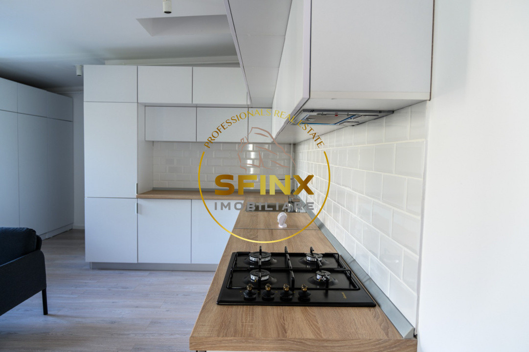 Studio dublu/ vila/ Mosilor/ Obor/ metrou/ curte comuna/ centrala  