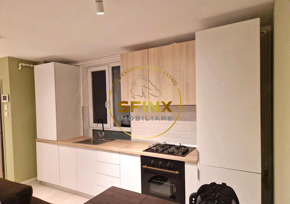 Studio dublu/ vila/ Mosilor/ Obor/ metrou/ curte comuna/ centrala  