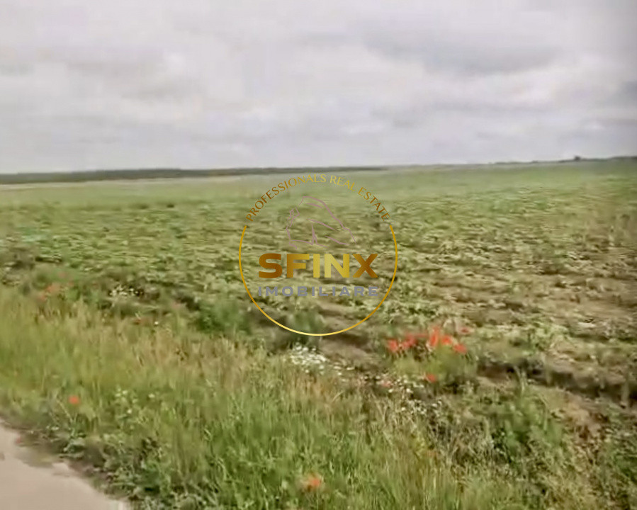TEREN DE INCHIRIAT – 14.052 MP | URZICEANCA – CIOCANESTI | FS 65 ML