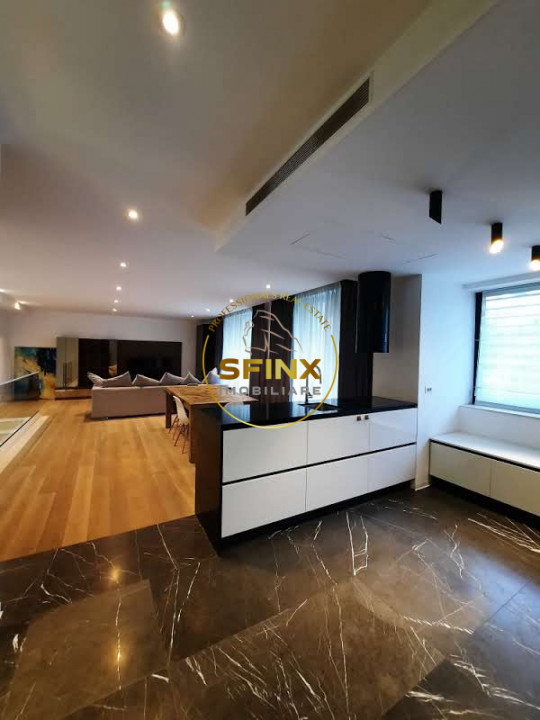 Primaverii, 4 room pet friendly duplex, private courtyard, 2 parking places