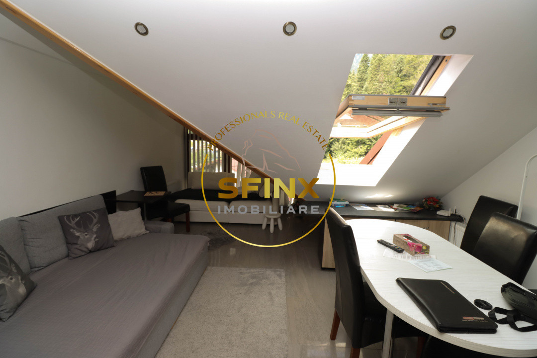 Apartament 2 camere vedere la Bucegi
