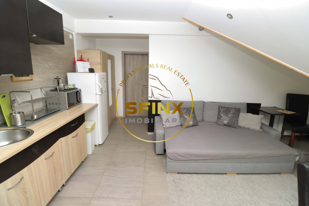Apartament 2 camere vedere la Bucegi