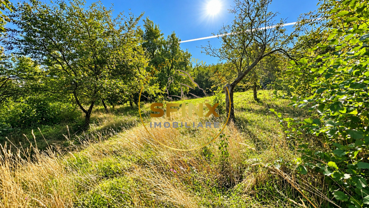 Teren intravilan 3.951 mp, Predeluț-Bran | 2 fronturi stradale 78 m + 99 m 