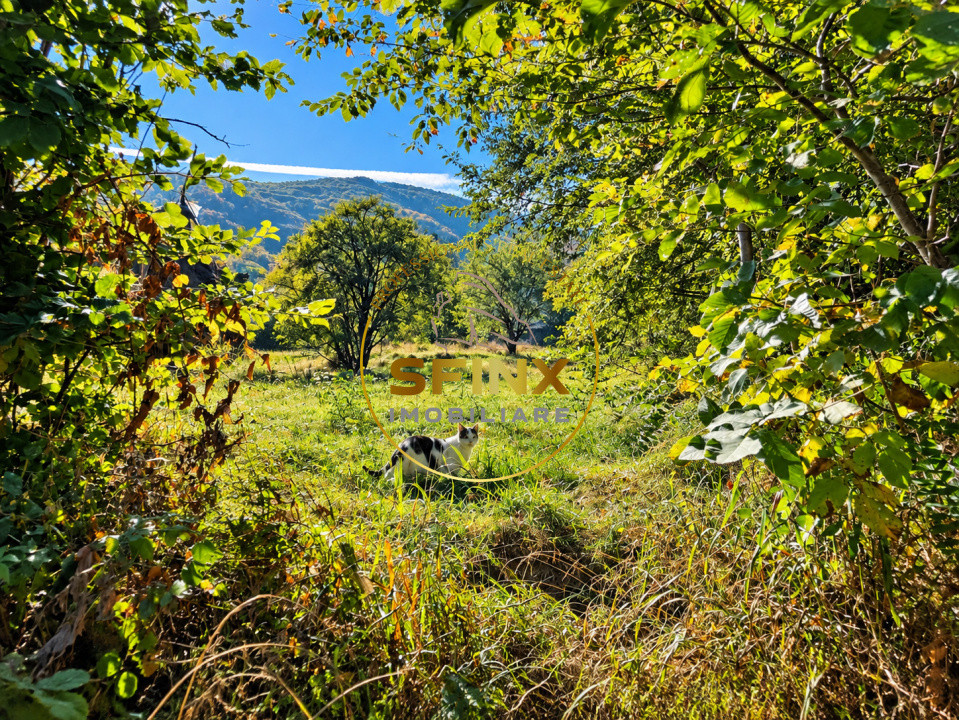 Teren intravilan 3.951 mp, Predeluț-Bran, 2 fronturi stradale de 80 ml