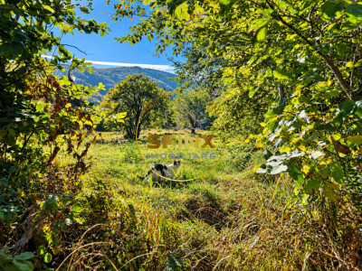 Teren intravilan 3.951 mp, Predeluț-Bran, 2 fronturi stradale de 80 ml