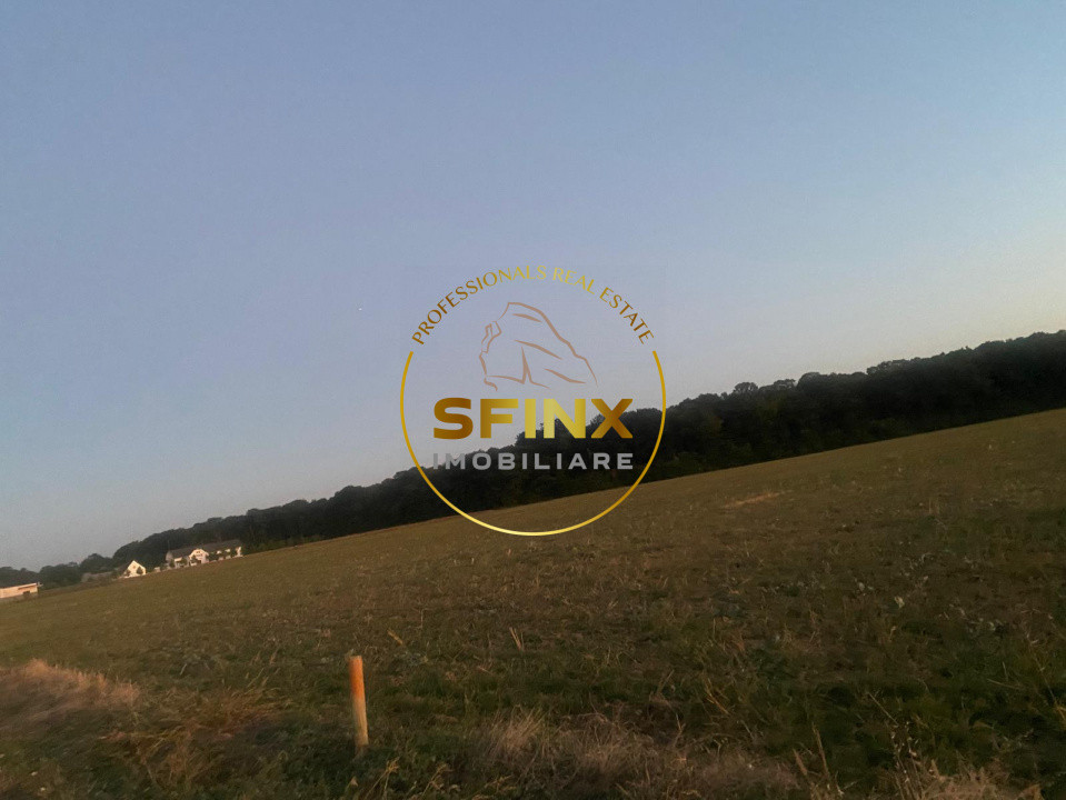 OPORTUNITATE INVESTITIE-TEREN CIOLPANI ILFOV