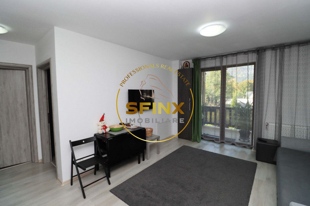 Apartament 2 camere vedere la munte